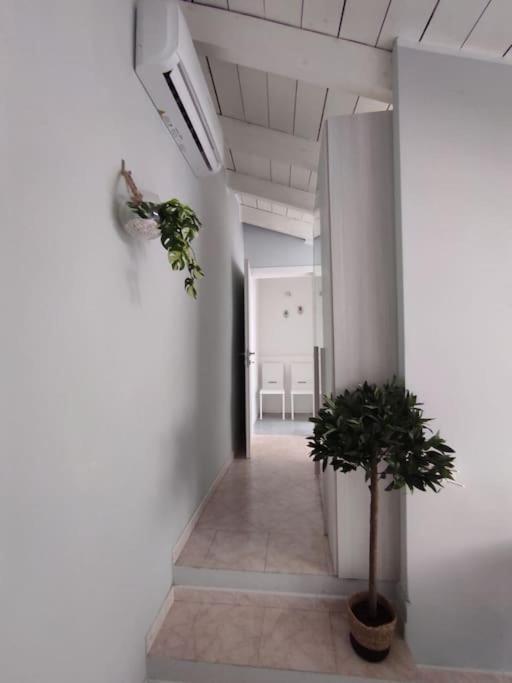 Free Parking Tiny House Wifi Netflix 15 Minuti Dal Duomo Appartement Milaan Buitenkant foto